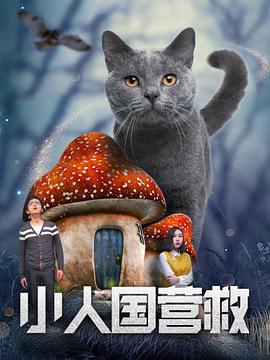 新质光影，美美与共，4月18日至4月26日，让我们相约北京，看世界上最好的电影！