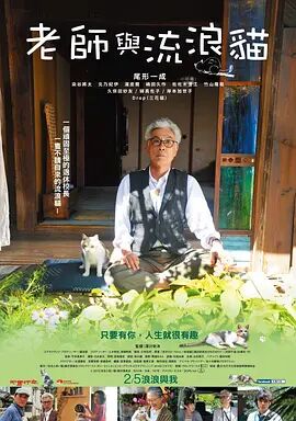 IMAX特制拍摄、F1大奖赛期间真实取景、300公里时速下的驾驶舱运镜，第一视角的沉浸式狂飙，搭配汉斯·季默创作的激情且悦耳的配乐，影片为观众营造了极致的视听体验和速度美学。